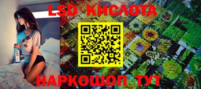 a pvp Будённовск